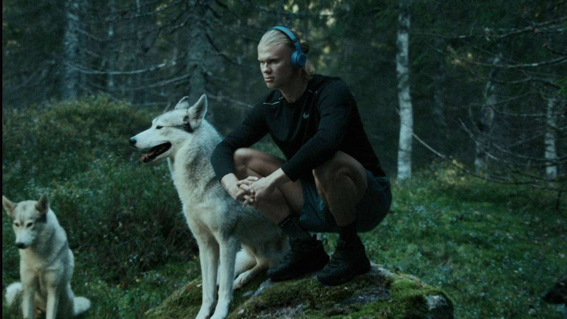 球员在大赛 球员在大赛